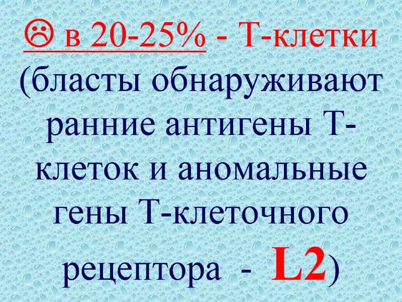  в 20-25% - Т-клетки (бласты обнаруживают   ранние антигены Т-клеток и аномальные